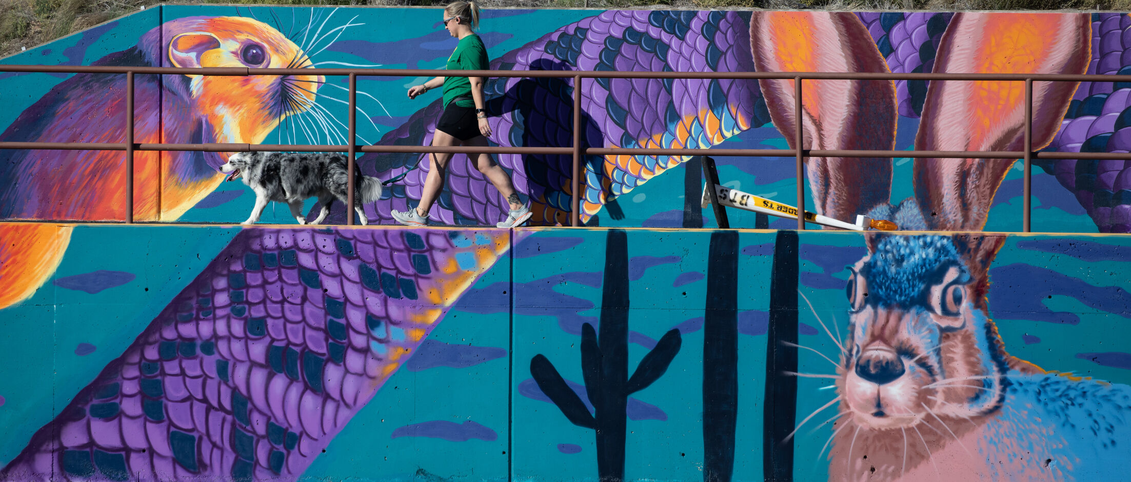 “Tracks and Trails” mural